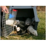 dscn4267.html