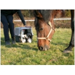 dscn4271.html