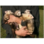 dscn4278.html