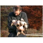dscn4280.html