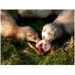 dscn4284.html