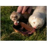 dscn4289.html