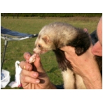 dscn4295.html