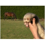 dscn4296.html