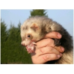 dscn4298.html