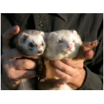dscn4311.html