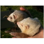 dscn4312.html