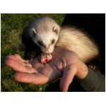 dscn4319.html