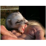 dscn4320.html