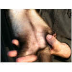 dscn4330.html