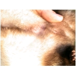 dscn4332.html