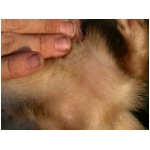 dscn4334.html