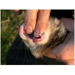 dscn4344.html