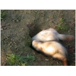 dscn4348.html