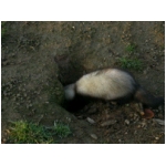 dscn4349.html