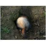 dscn4350.html