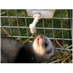 dscn4358.html