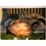 dscn4364.html