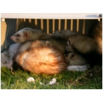 dscn4365.html
