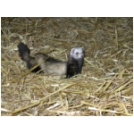 dscn4368.html