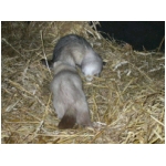 dscn4371.html