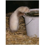 dscn4380.html