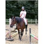 DSCN3017.html