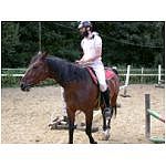 DSCN3018.html