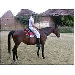 DSCN3045.html