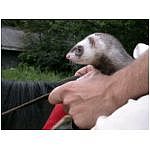 DSCN3058.html