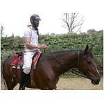 balade3.html