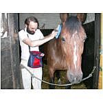 dixies-popsbag-at-box.html