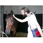 dixies-sieg-box.html
