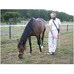 dixies-sieg-pasture.html