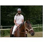 licol-arret.html