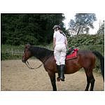 monte2.html