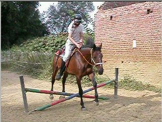 saut2.html