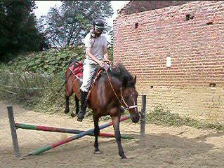 saut33.html