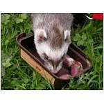 a-table-4.html