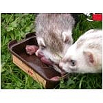 a-table-5.html