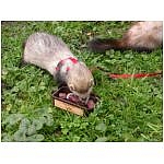 a-table-7.html