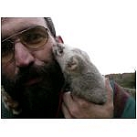 bisous-de-zyclon.html