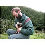 dixie-khali.html