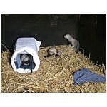 jeux-box-2.html