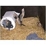 jeux-box-3.html