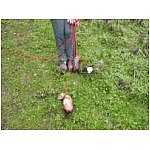 noeud-de-fufu-2.html
