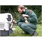 sortie-des-cages.html