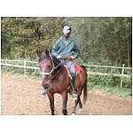 dscn4014.html