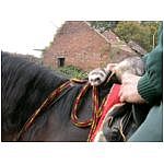 dscn4024.html