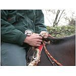 dscn4037.html